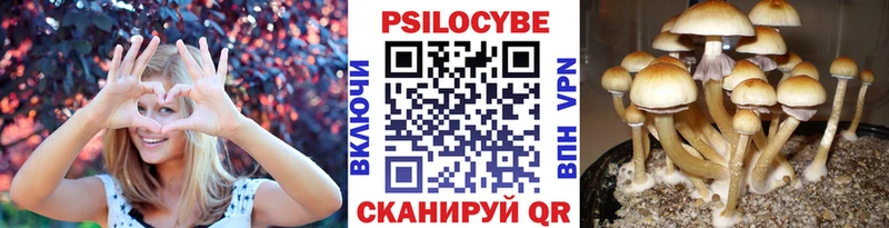 где купить наркоту  Иноземцево  Галлюциногенные грибы Magic Shrooms 