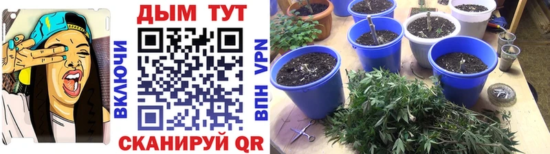 МАРИХУАНА Ganja  mega ССЫЛКА  Иноземцево 